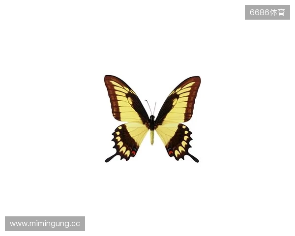 破茧成蝶:Legacy如何登顶南美、跻身世界顶尖行列 破茧成蝶:Legacy如何登顶南美、跻身世界顶尖行列